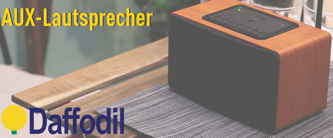 AUX-Lautsprecher
