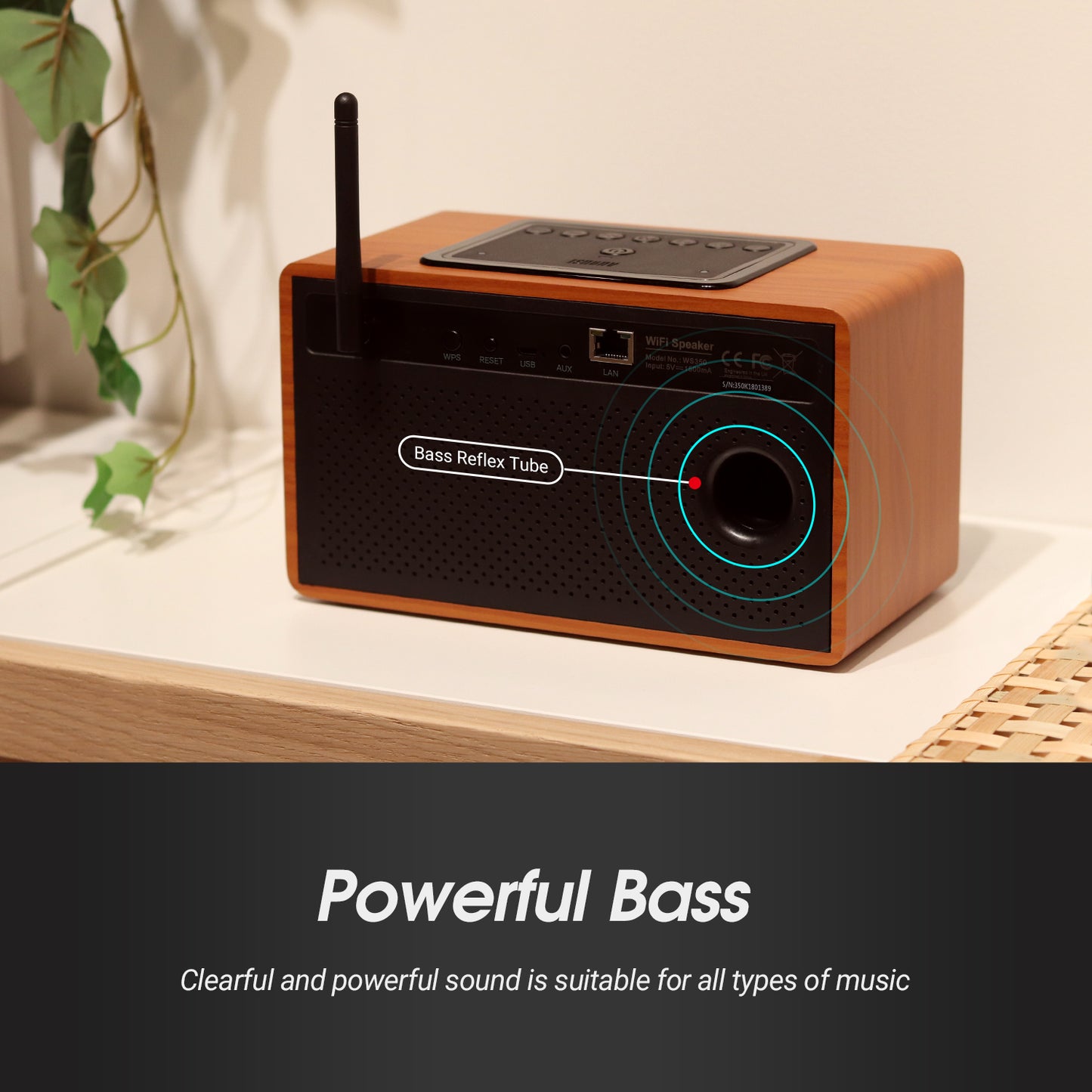 Tragbares Bluetooth WiFi Radio Stereo Multiroom App Steuerung - August WS350K