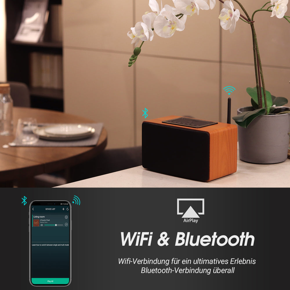August WS350 – 30W Wi-Fi / Bluetooth Lautsprecher –Multiroom WLAN-Speaker (DLNA, NFC, LAN, 15h Akku) - Daffodil Germany GmbH